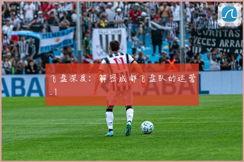 飞盘深度：解密成都飞盘队的运营_1