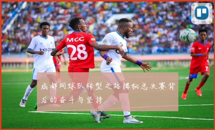 成都网球队转型之路揭秘总决赛背后的奋斗与坚持