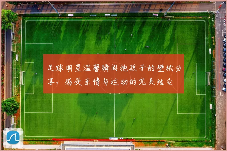 足球明星温馨瞬间抱孩子的壁纸分享，感受亲情与运动的完美结合