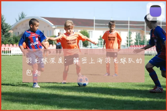 羽毛球深度：解密上海羽毛球队的包夹