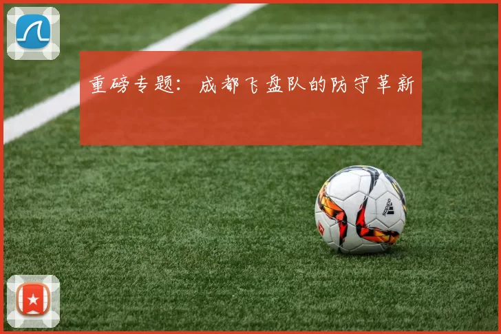 重磅专题：成都飞盘队的防守革新
