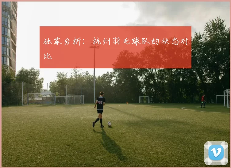 独家分析：杭州羽毛球队的状态对比