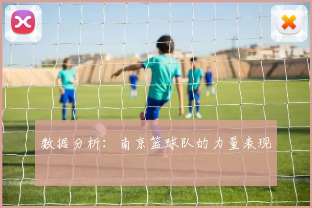数据分析：南京篮球队的力量表现